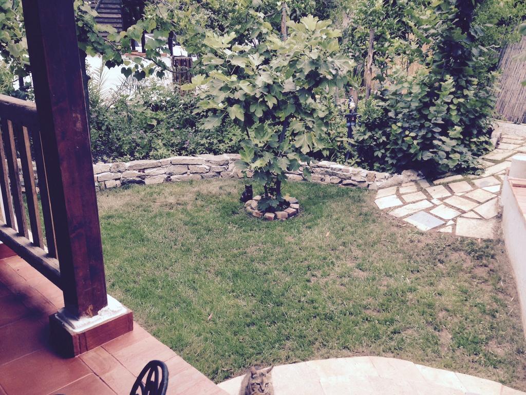 Residenza Luna Paestum Ngoại thất bức ảnh