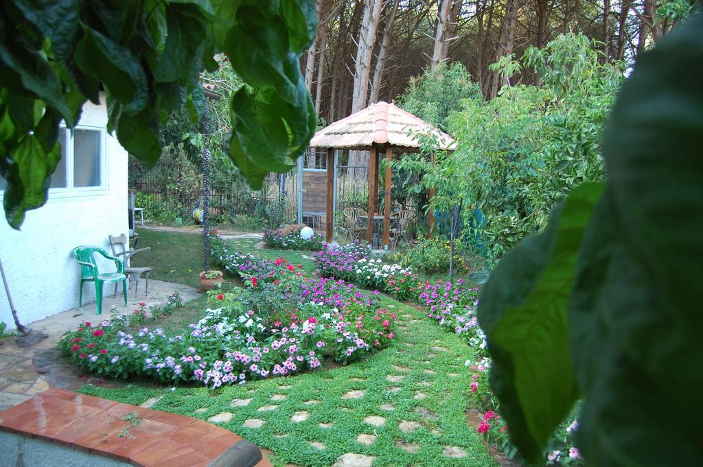 Residenza Luna Paestum Ngoại thất bức ảnh